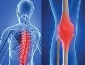 Current Approaches in Musculoskeletal System Health: All Orthopedics and Traumatology Services