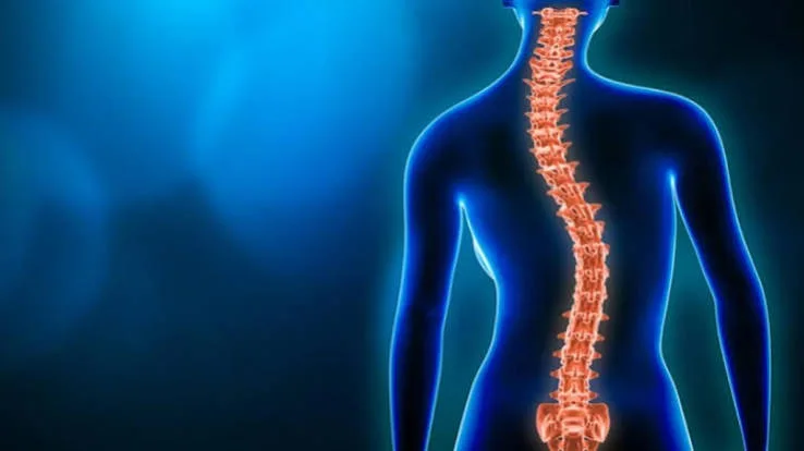 Spine Surgery (Scoliosis) and Special Fields (Hand Surgery, Tumor Surgery)