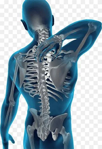 Current Approaches in Musculoskeletal System Health: All Orthopedics and Traumatology Services